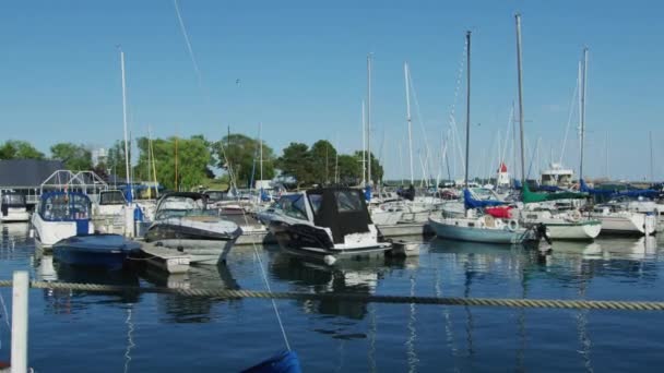 Barcos Vela Anclados Lago Ontario — Vídeos de Stock