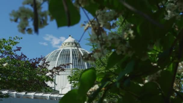 Cúpula Detrás Ramas Árboles Toronto — Vídeos de Stock