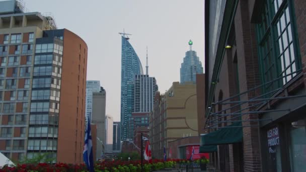 Moderne Gebäude Toronto — Stockvideo