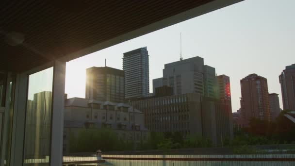 Avondzicht Gebouwen Toronto — Stockvideo