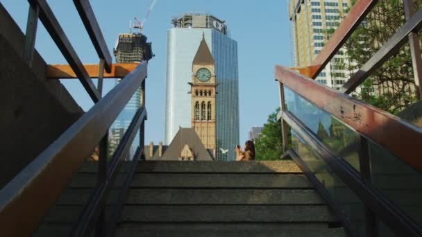 多伦多的老市政厅在楼梯后面显现出来 — 图库视频影像