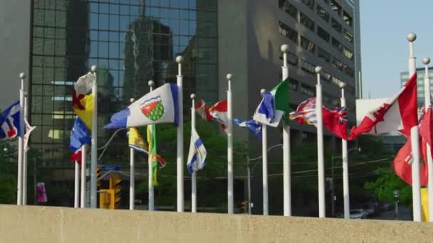 Флаги Канадских Провинций Центре Торонто — стоковое видео