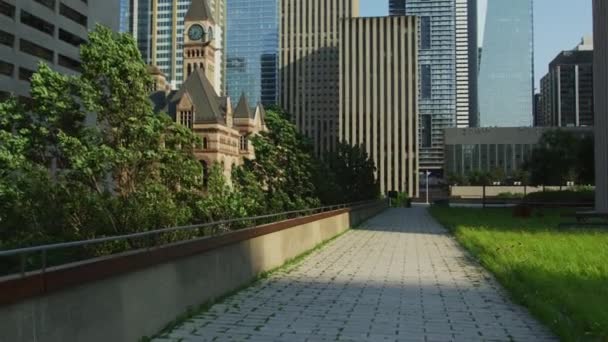 多伦多的旧市政厅和摩天大楼 — 图库视频影像