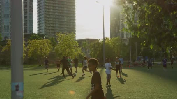 多伦多的一个公园踢足球的男人 — 图库视频影像