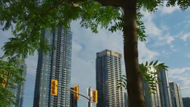 Высокие Здания Торонто — стоковое видео