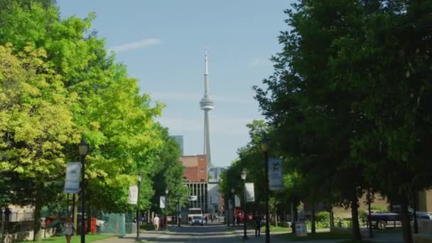 Tower Ciudad Toronto — Vídeo de stock