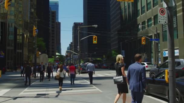 Lidé Chodí Řídí Centru Toronta — Stock video