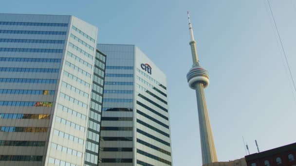 Skyskrapor Nära Tower Toronto — Stockvideo
