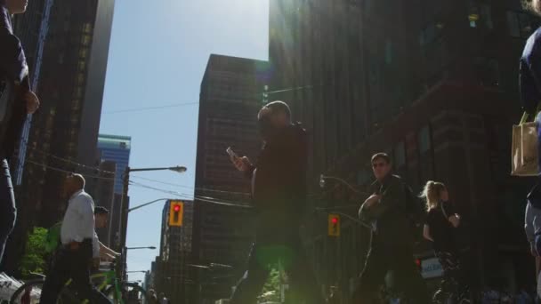 Люди Переходящие Улицу Торонто — стоковое видео
