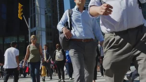 Gente Cruzando Una Calle Toronto — Vídeos de Stock