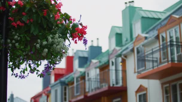 Цветы Здания Mont Tremblant Resort — стоковое видео
