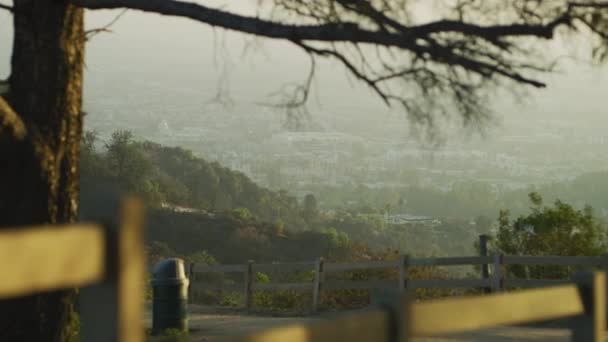 Blick Vom Griffith Park — Stockvideo