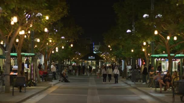 Menschen Santa Monica Bei Nacht — Stockvideo