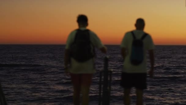 Dos Hombres Caminando Por Océano Atardecer — Vídeo de stock