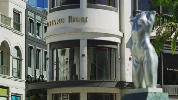 Stefano Ricci Mağazası Torso Heykeli Amerika Birleşik Devletleri — Stok video