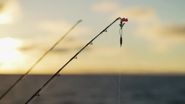 Vista Vicino Una Canna Pesca — Video Stock