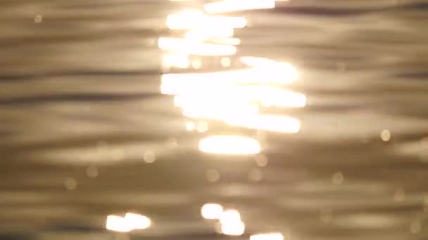 水面闪烁着光芒 — 图库视频影像