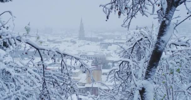 Cluj Napoca Een Winterdag — Stockvideo
