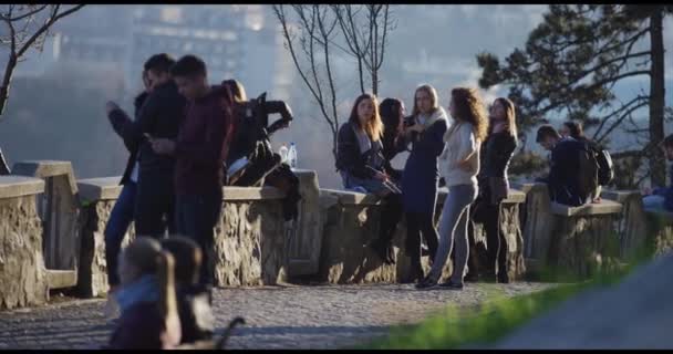 Jongeren Ontspannen Een Park — Stockvideo