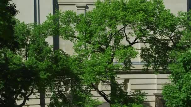 Vista Inclinada Edificio Ottawa — Vídeo de stock