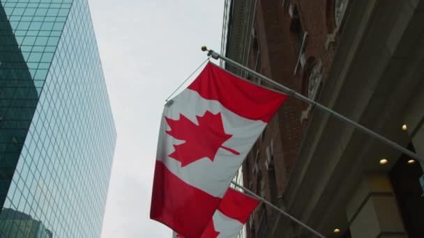 Kanadische Flaggen Der Innenstadt Von Ottawa — Stockvideo