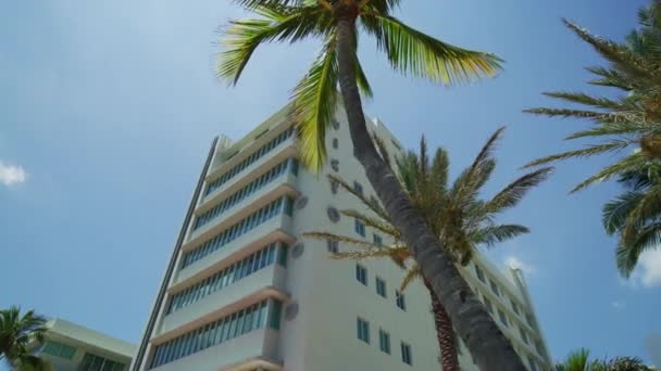 Hotel Victor Miami Beach Verenigde Staten Van Amerika — Stockvideo