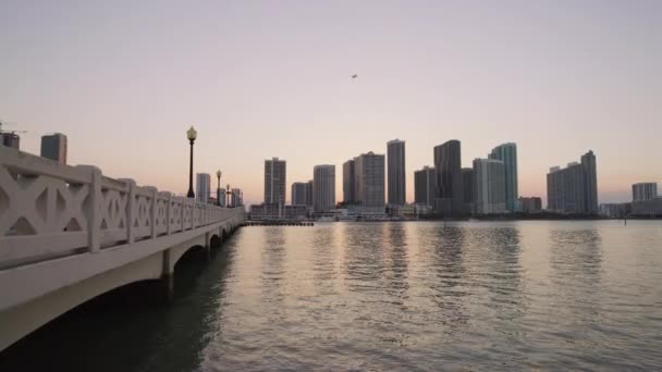 Avond Uitzicht Venetiaanse Causeway Stad Miami — Stockvideo