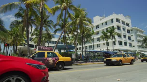 Clevelander Hotel Ocean Drive Miami Beach Amerikai Egyesült Államok — Stock videók