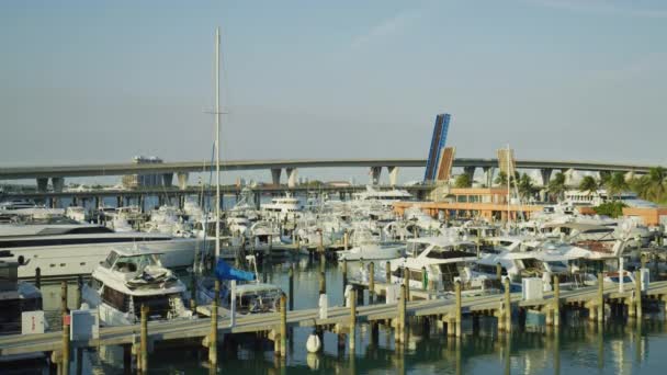 Yachts Moored Biscayne Bay Miami — Αρχείο Βίντεο