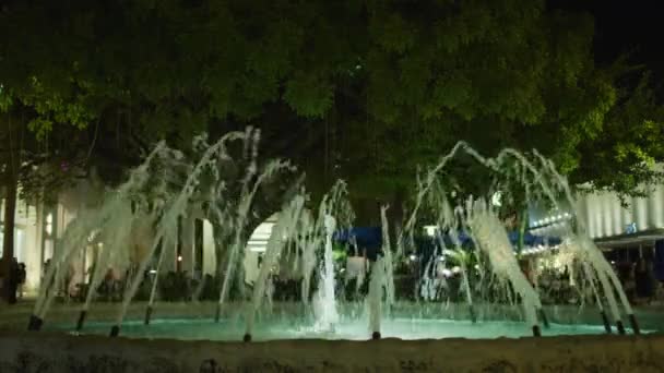 Brunnen Miami Beach Bei Nacht Vereinigte Staaten Von Amerika — Stockvideo