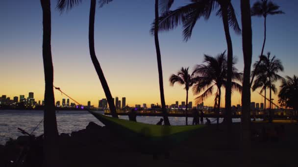 日落时分 人们在佛罗里达州迈阿密海滩南坡特公园的吊床上休息 — 图库视频影像