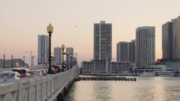 Der Venezianische Causeway Miami — Stockvideo