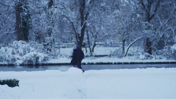 Прогулка Берегу Озера Зимний День — стоковое видео