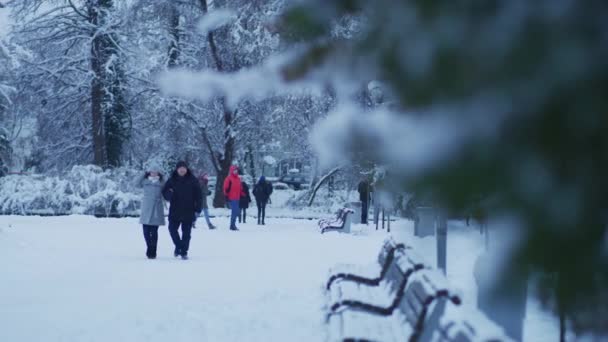 Pessoas Num Parque Num Dia Inverno — Vídeo de Stock