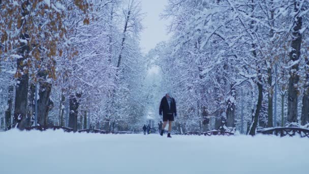 Люди Центральном Парке Клуж Напока Зимний День — стоковое видео