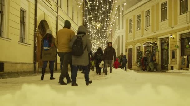Karlı Bir Kış Gecesinde Şehirde Yürümek — Stok video