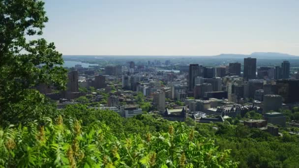 Montreal Como Visto Mount Royal — Vídeo de Stock