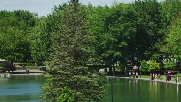 Lago Beaver Canadá — Vídeo de Stock