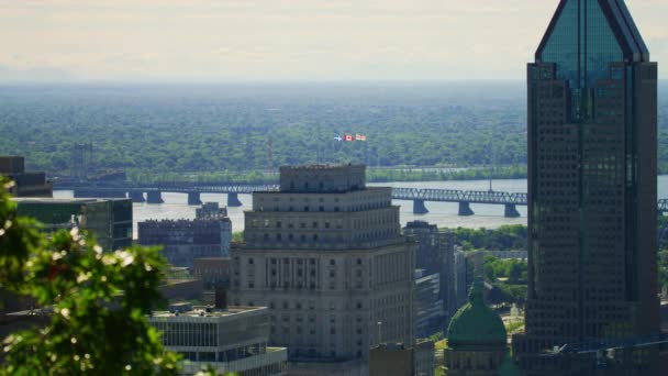 Victoria Bridge Bakom Byggnader Montreal — Stockvideo