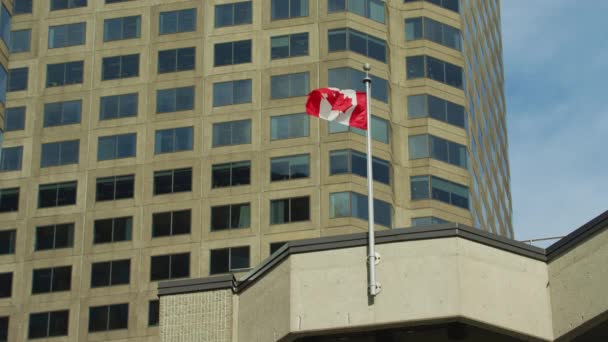 建物の上に手を振っているカナダの国旗 — ストック動画