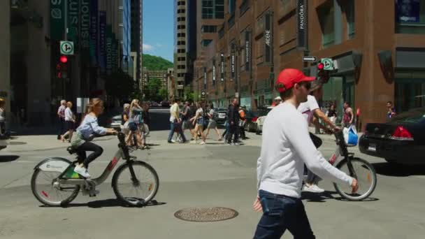 マギル カレッジ アベニューを歩くと自転車に乗る — ストック動画