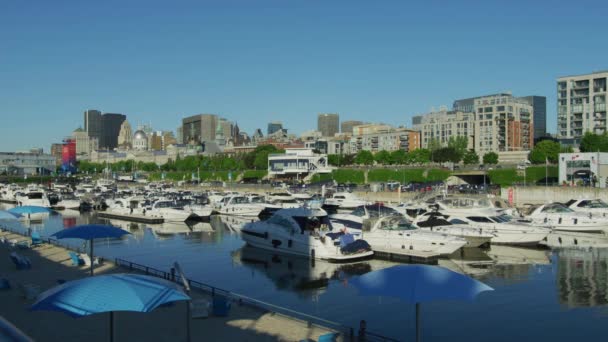 Vieux Port Montréal — Video