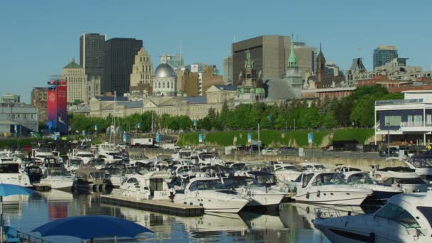 Montreal Văzut Din Portul Vechi — Videoclip de stoc