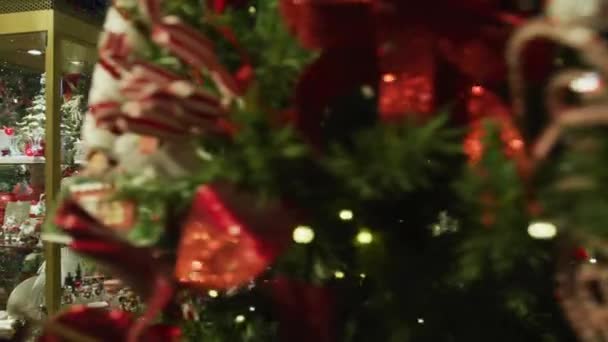 Geschmückter Weihnachtsbaum Und Andere Schmuckstücke — Stockvideo