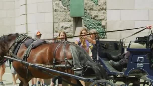 Carruagem Cavalo Uma Rua — Vídeo de Stock