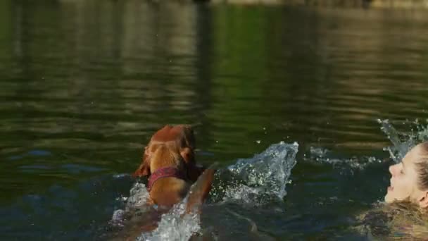 Menina Jogando Uma Bola Para Cão Para Buscar Lago — Vídeo de Stock