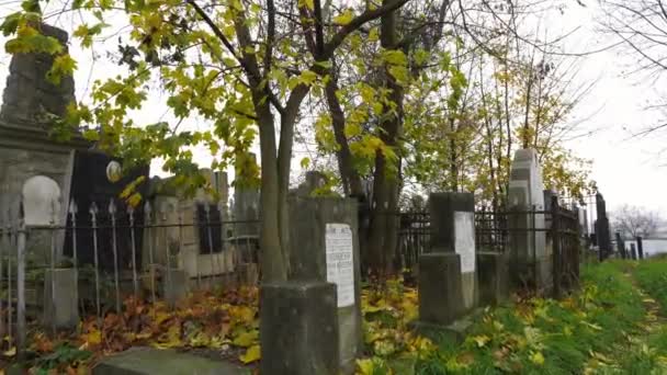 Еврейское Кладбище Осенью — стоковое видео