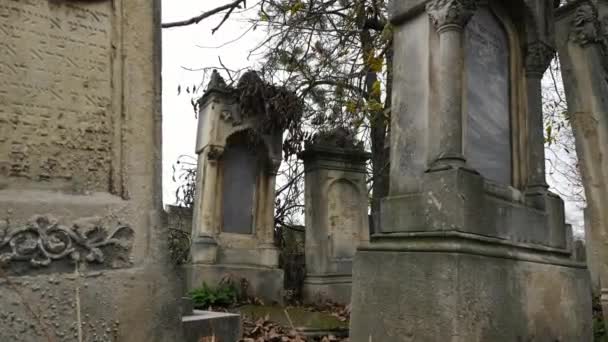 Mezar Taşında Ölü Yapraklar — Stok video