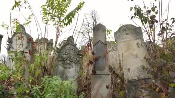 墓地にあるユダヤ人の墓石 — ストック動画