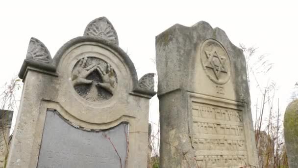 Joodse Symbolen Grafstenen — Stockvideo